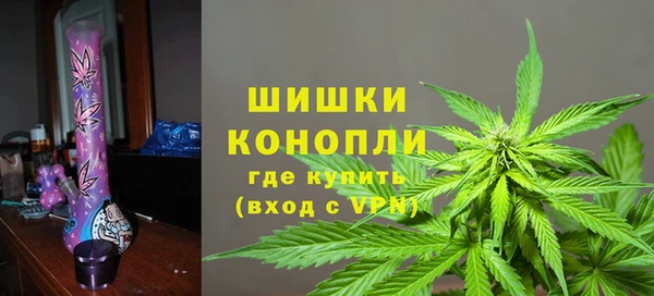 сатива Белокуриха