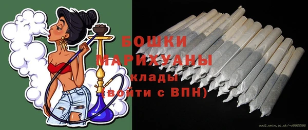 сатива Белокуриха