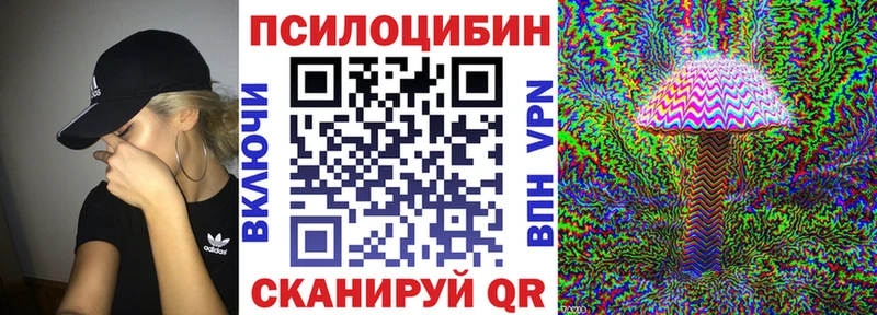 Галлюциногенные грибы Psilocybine cubensis  Короча 