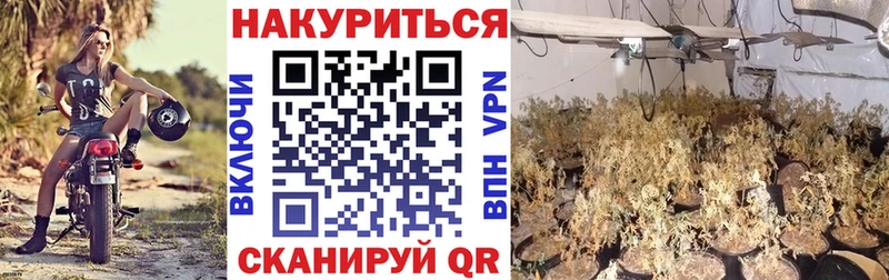 Каннабис VHQ  ссылка на мегу рабочий сайт  Короча 